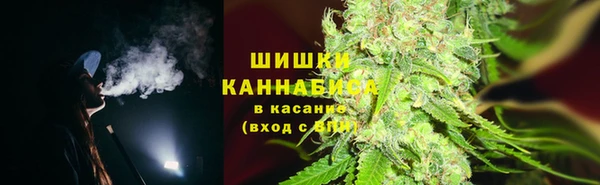 шишки Алзамай
