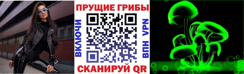 Галлюциногенные грибы Cubensis  Набережные Челны 