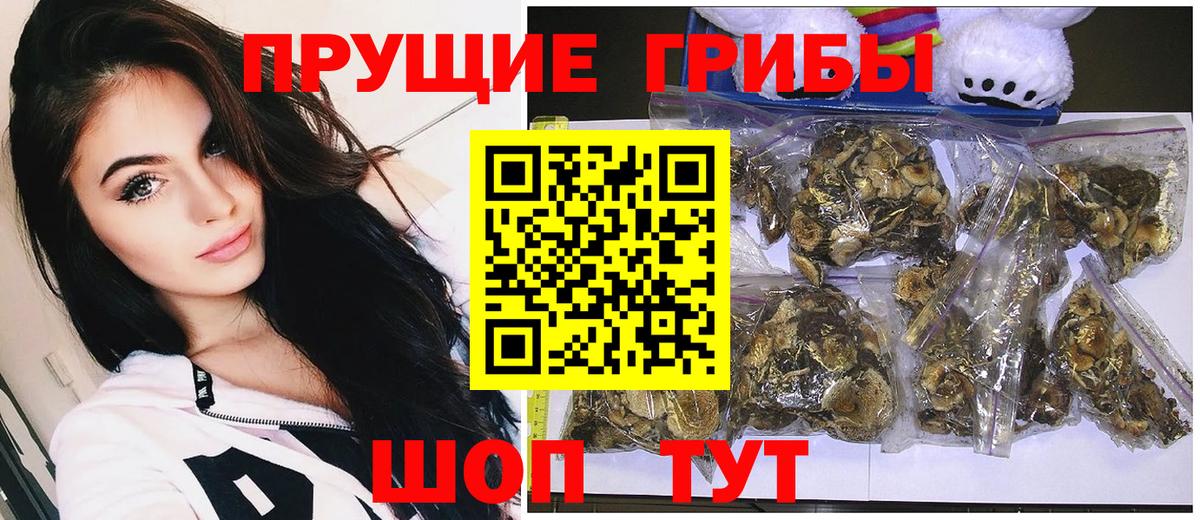 Псилоцибиновые грибы MAGIC MUSHROOMS Набережные Челны