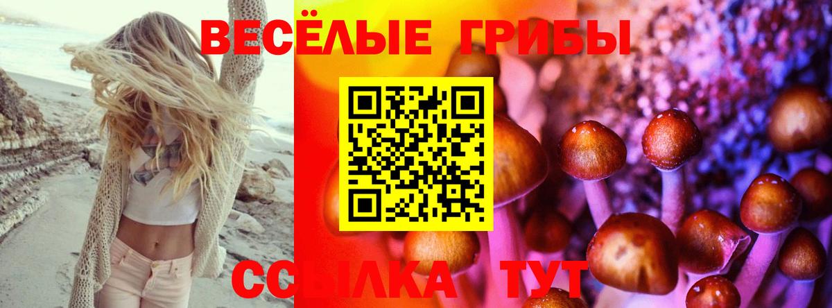 Набережные Челны  Псилоцибиновые грибы прущие грибы  Вход с VPN 